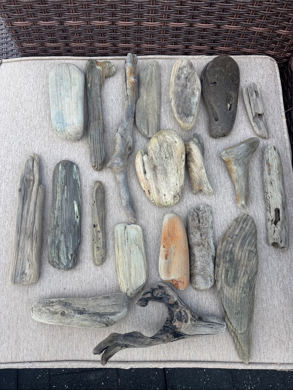 20 Pacific Beach Natural Driftwood Collection - Assorted Beach Wood Pieces - Picture 5 of 10